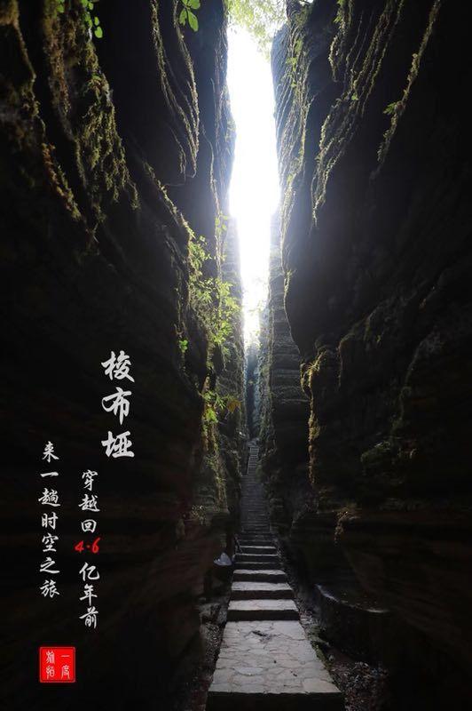 夏津农商银行“普惠金融”助力新市民安居乐业
